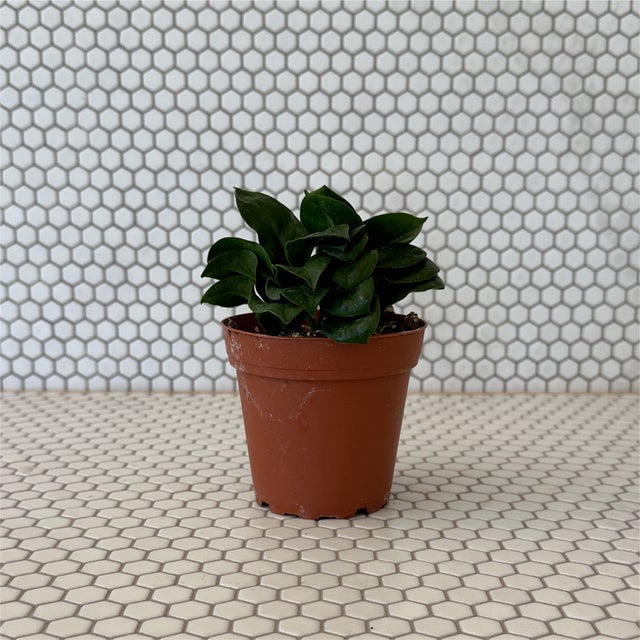 Plants | Tillage, LLC